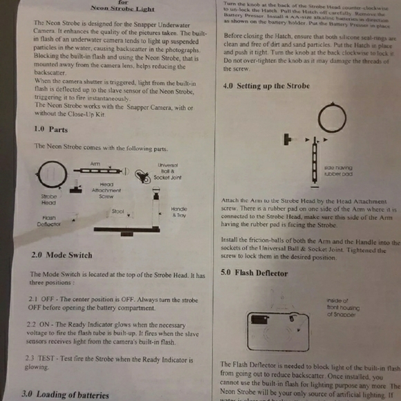 Snapper under water camera - Picture 4 of 5